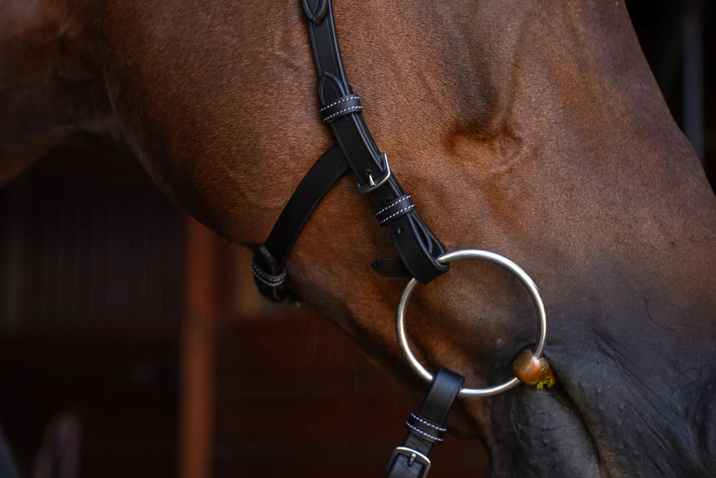Millbrook Co. Freedom Bridle