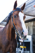 Millbrook Co. Freedom Bridle