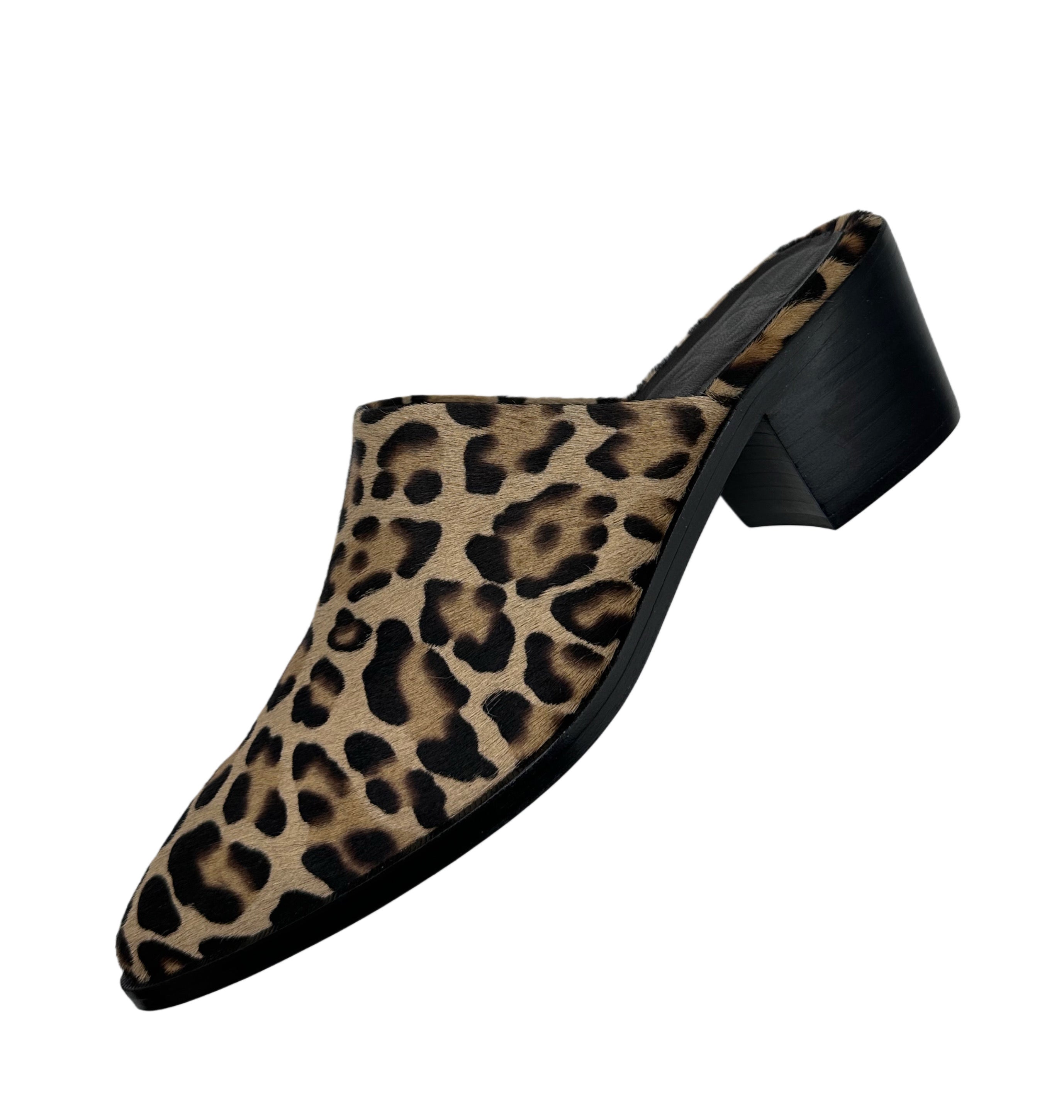 Nina Slides