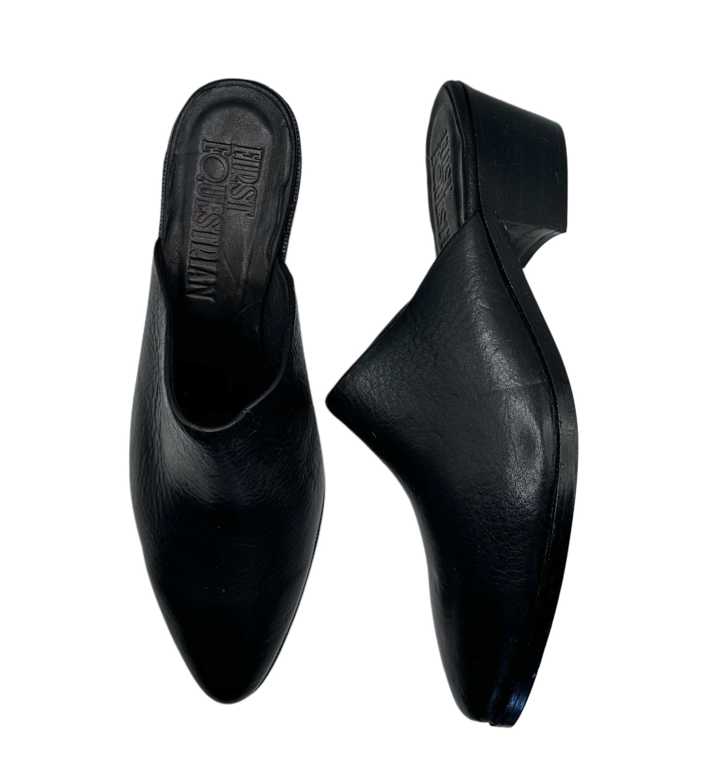 Lesley Slides